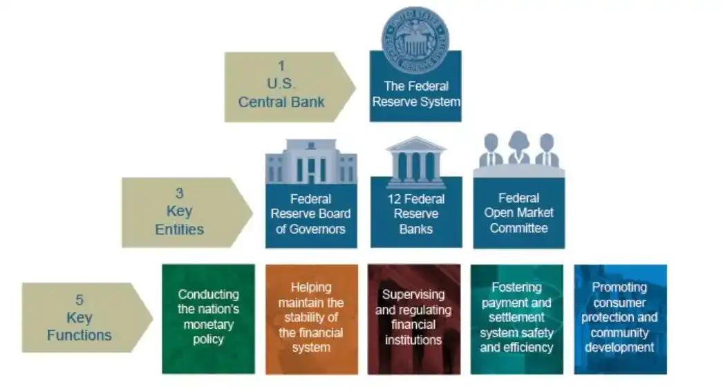 FED'in Yapısal Özellikleri, Federal Reserv Bank